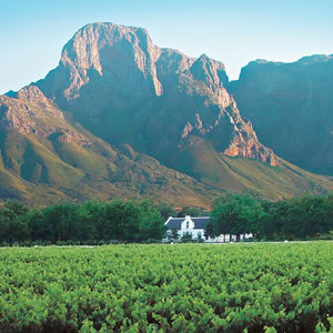 Cape Wine Tours
