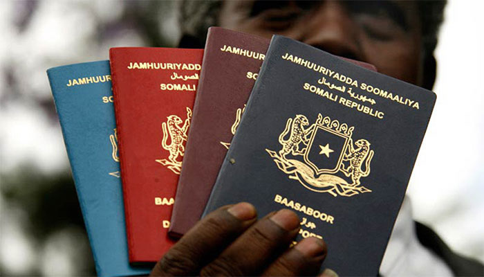 Pan-African Passport