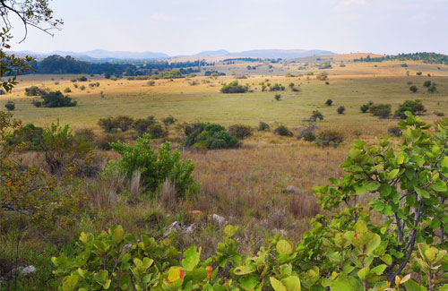 Cycling in the Cradle of Humankind
