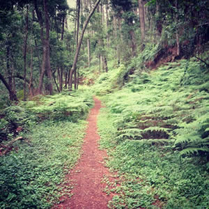 Merrell Hobbit Journey and Trail Runs