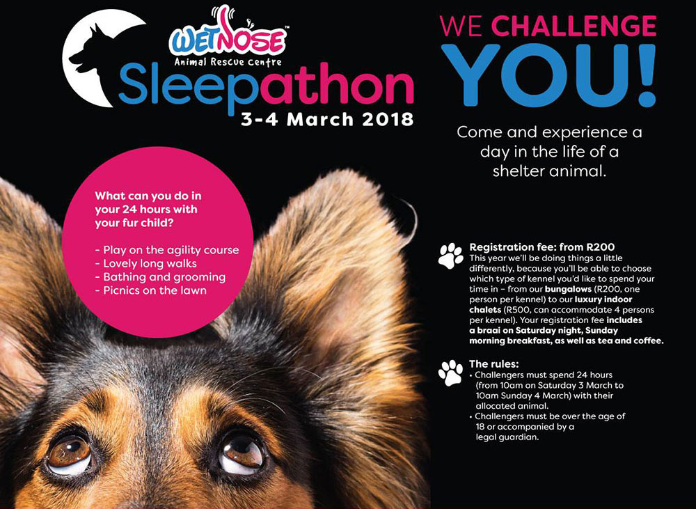 Wet Nose Sleepathon Challenge 2018