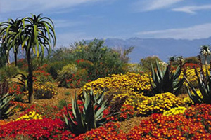 Top 10 Botanical Gardens