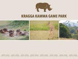 Dog Walk for Kragga Kamma Game Reserve