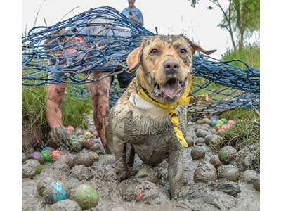 OnePlan Muddy Puppy