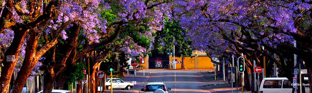 Church Street, Pretoria