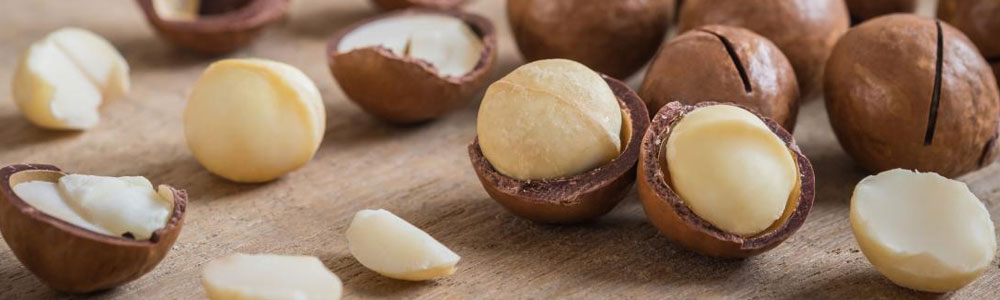 South Africa largest producer of macadamia nuts