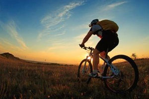 top mtb trails south africa